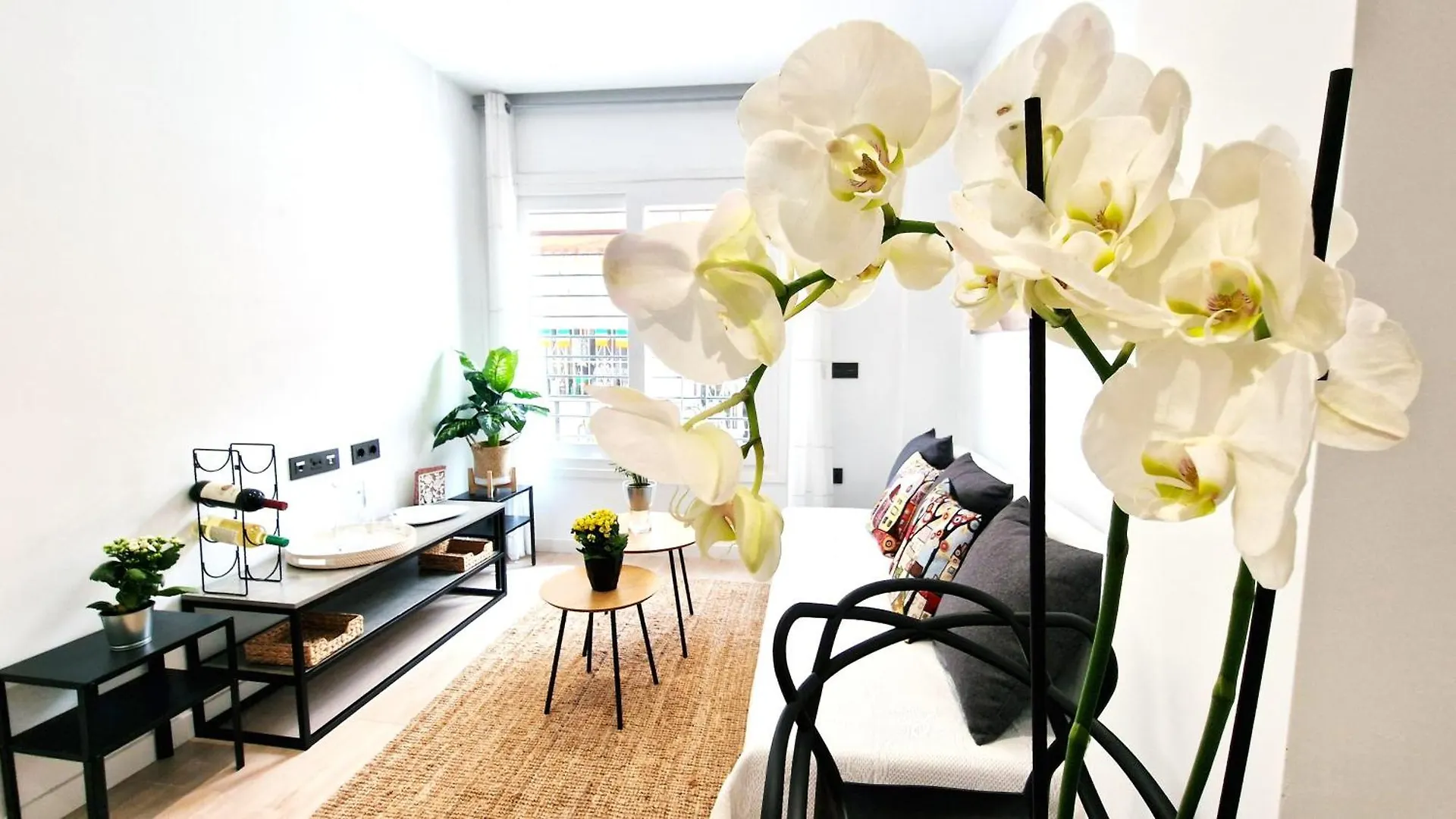 Aa Guest - Biznaga Beach Center Eco Apartment Fuengirola 0*,